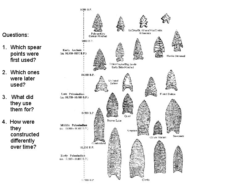 Questions: 1. Which spear points were first used? 2. Which ones were later used?