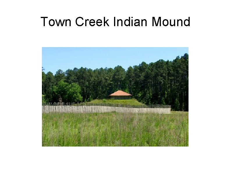 Town Creek Indian Mound 