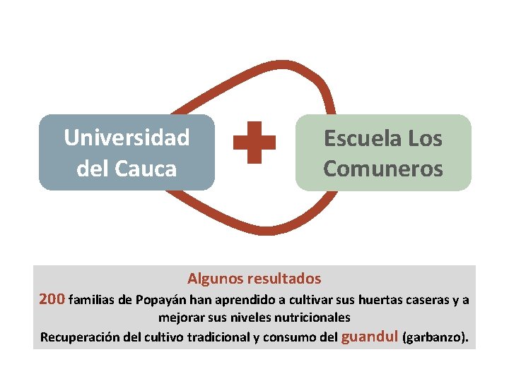 Universidad del Cauca Escuela Los Comuneros Algunos resultados 200 familias de Popayán han aprendido