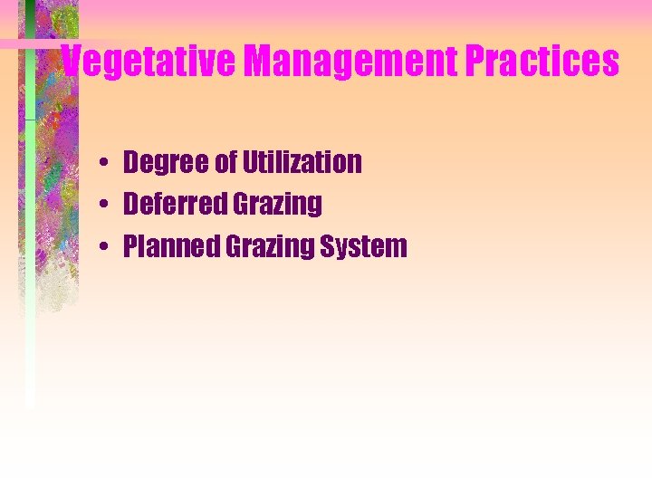 Vegetative Management Practices • Degree of Utilization • Deferred Grazing • Planned Grazing System
