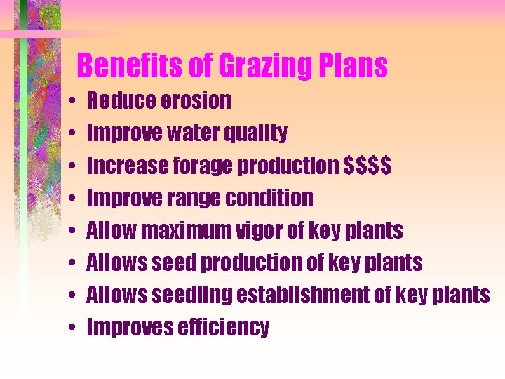 Benefits of Grazing Plans • • Reduce erosion Improve water quality Increase forage production