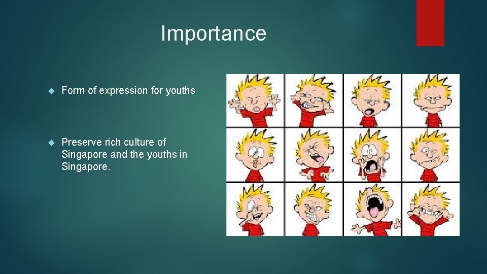 Importance Form of expression for youths Preserve rich culture of Singapore and the youths