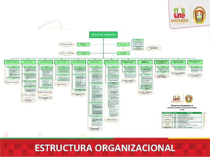 ESTRUCTURA ORGANIZACIONAL 