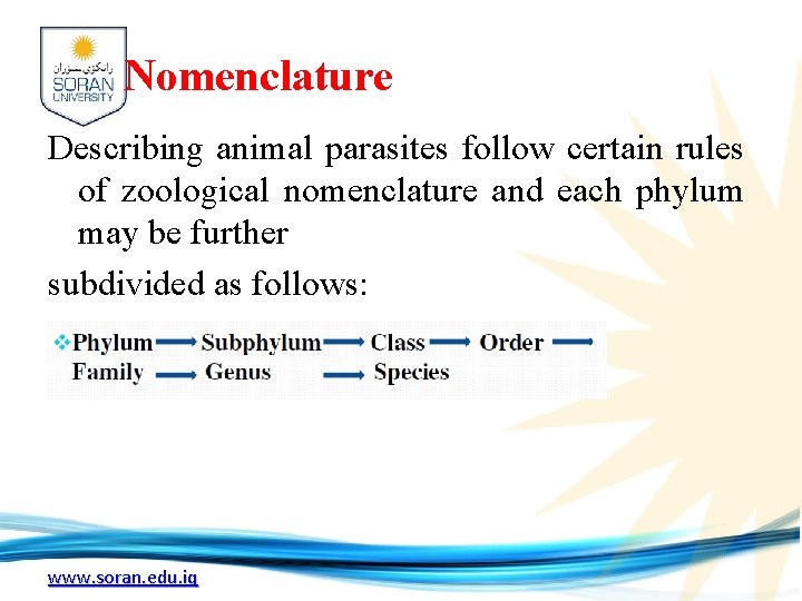 Nomenclature Describing animal parasites follow certain rules of zoological nomenclature and each phylum may