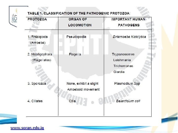 www. soran. edu. iq 