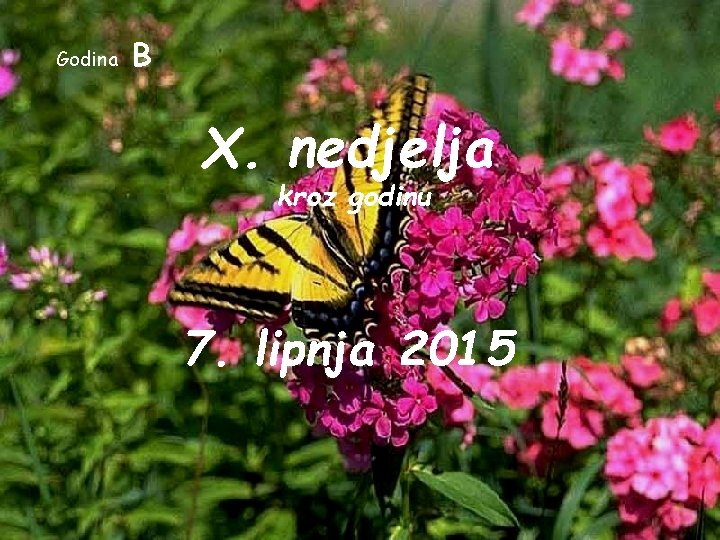 Godina B X. nedjelja kroz godinu 7. lipnja 2015 