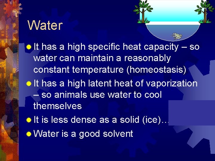 Water ® It has a high specific heat capacity – so water can maintain Water ® It has a high specific heat capacity – so water can maintain