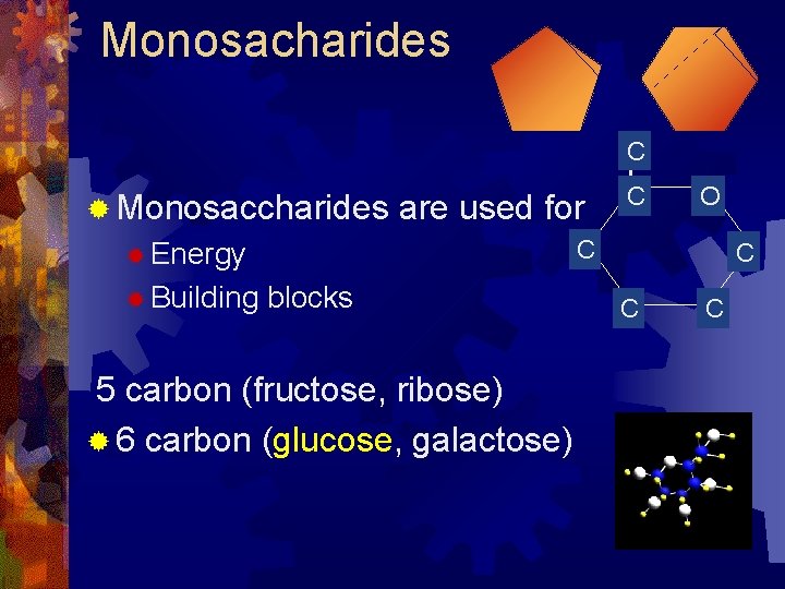 Monosacharides C ® Monosaccharides are used for O C ® Energy ® Building C Monosacharides C ® Monosaccharides are used for O C ® Energy ® Building C