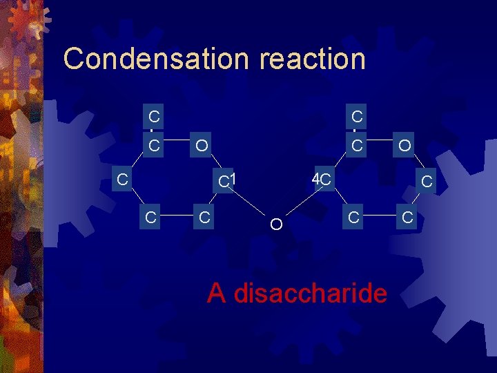 Condensation reaction C C C O C C 1 C C C O 4 Condensation reaction C C C O C C 1 C C C O 4