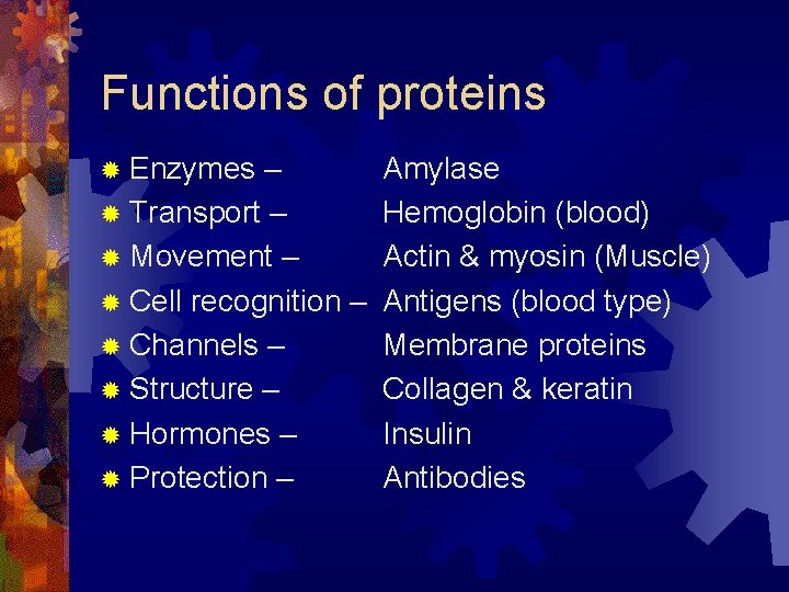 Functions of proteins ® Enzymes – ® Transport – ® Movement – ® Cell Functions of proteins ® Enzymes – ® Transport – ® Movement – ® Cell