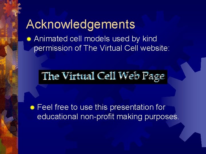 Acknowledgements ® Animated cell models used by kind permission of The Virtual Cell website: Acknowledgements ® Animated cell models used by kind permission of The Virtual Cell website: