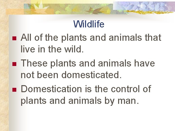 n n n Wildlife All of the plants and animals that live in the