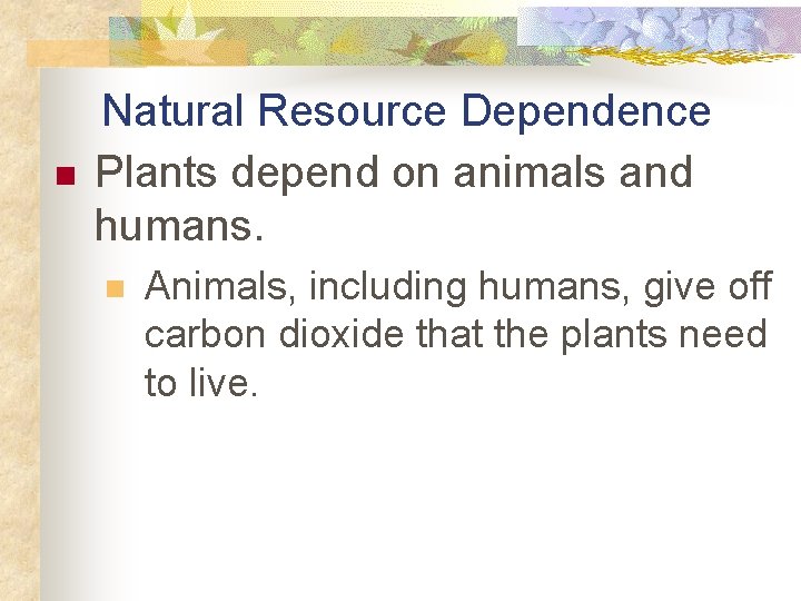 n Natural Resource Dependence Plants depend on animals and humans. n Animals, including humans,