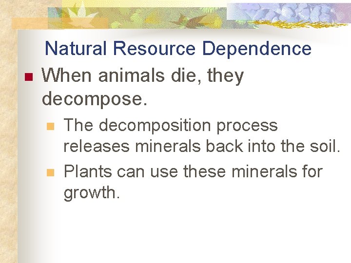 n Natural Resource Dependence When animals die, they decompose. n n The decomposition process