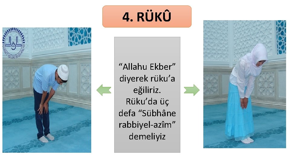 4. RÜKÛ “Allahu Ekber” diyerek rüku’a eğiliriz. Rüku’da üç defa “Sübhâne rabbiyel-azîm” demeliyiz 