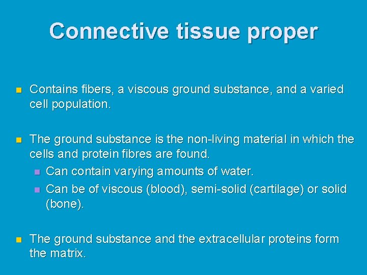 Connective tissue proper n Contains fibers, a viscous ground substance, and a varied cell