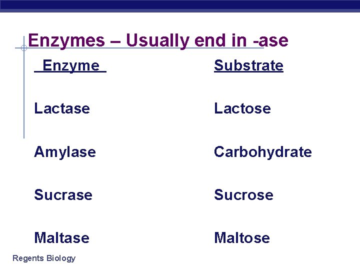 Enzymes – Usually end in -ase Enzyme Substrate Lactase Lactose Amylase Carbohydrate Sucrase Sucrose