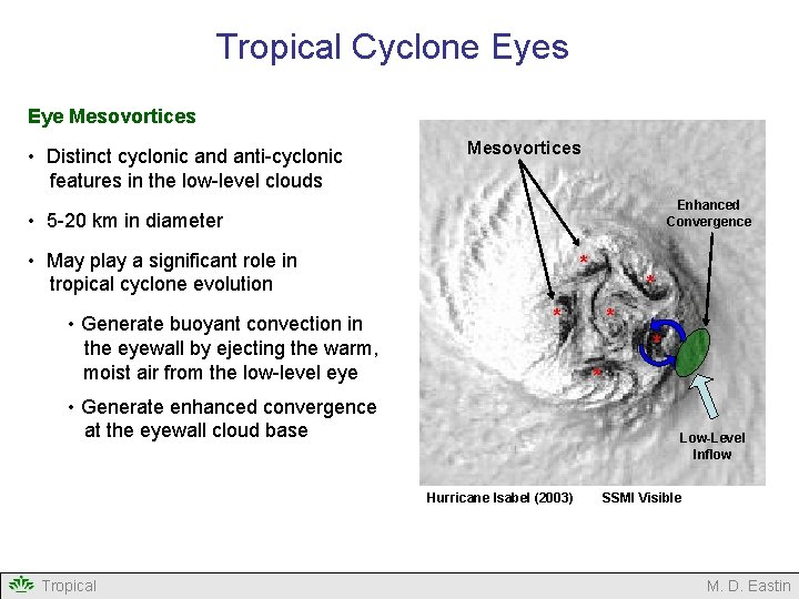 Tropical Cyclone Eyes Eye Mesovortices • Distinct cyclonic and anti-cyclonic features in the low-level