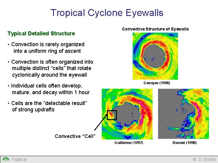 Tropical Cyclone Eyewalls Typical Detailed Structure Convective Structure of Eyewalls • Convection is rarely