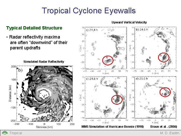 Tropical Cyclone Eyewalls Upward Vertical Velocity Typical Detailed Structure • Radar reflectivity maxima are