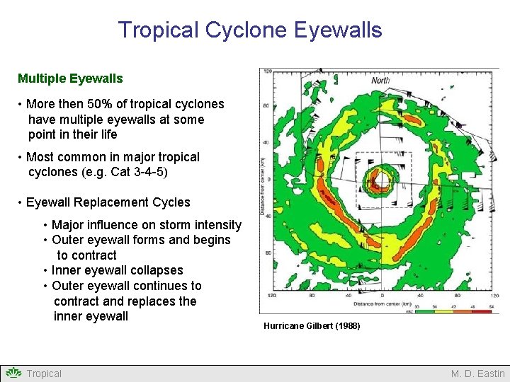 Tropical Cyclone Eyewalls Multiple Eyewalls • More then 50% of tropical cyclones have multiple