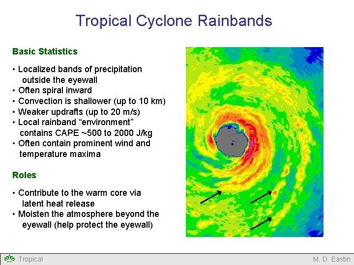 Tropical Cyclone Rainbands Basic Statistics • Localized bands of precipitation outside the eyewall •