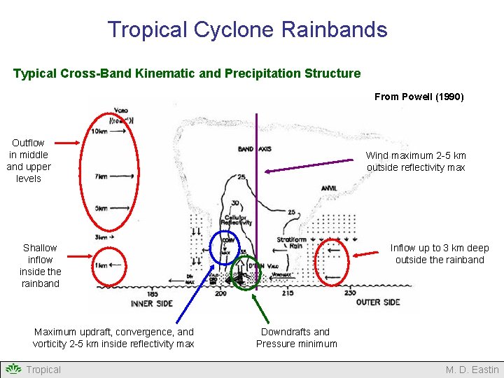 Tropical Cyclone Rainbands Typical Cross-Band Kinematic and Precipitation Structure From Powell (1990) Outflow in
