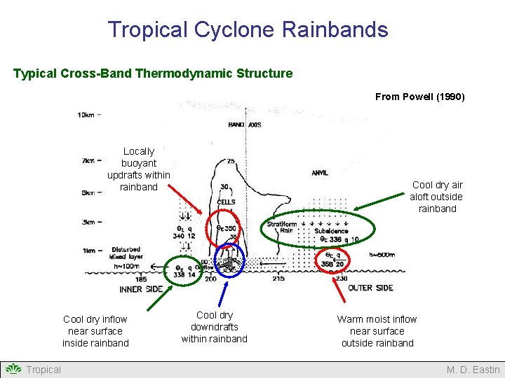 Tropical Cyclone Rainbands Typical Cross-Band Thermodynamic Structure From Powell (1990) Locally buoyant updrafts within