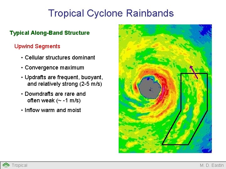 Tropical Cyclone Rainbands Typical Along-Band Structure Upwind Segments • Cellular structures dominant • Convergence