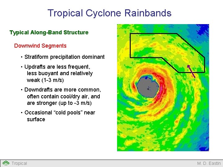 Tropical Cyclone Rainbands Typical Along-Band Structure Downwind Segments • Stratiform precipitation dominant • Updrafts