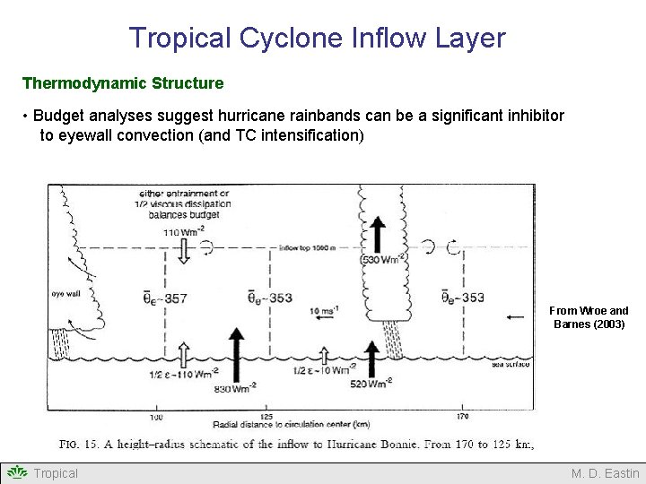 Tropical Cyclone Inflow Layer Thermodynamic Structure • Budget analyses suggest hurricane rainbands can be