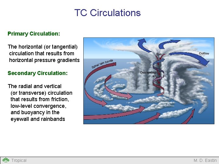 TC Circulations Primary Circulation: The horizontal (or tangential) circulation that results from horizontal pressure