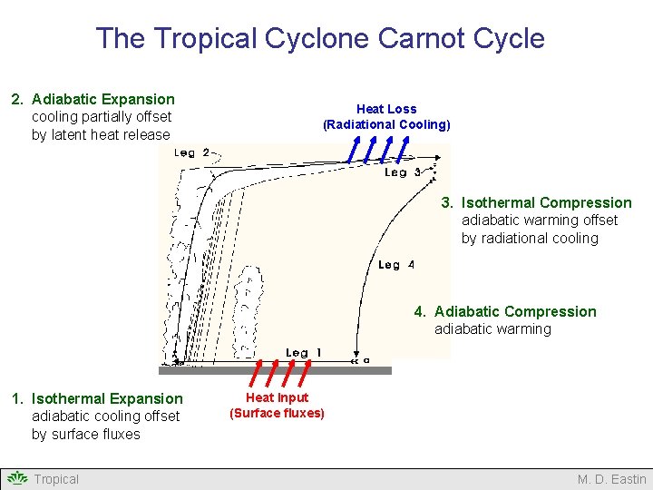 The Tropical Cyclone Carnot Cycle 2. Adiabatic Expansion cooling partially offset by latent heat