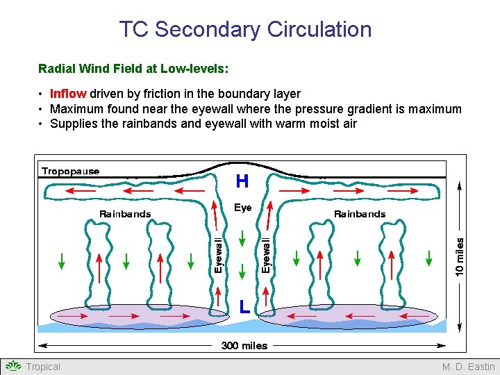 TC Secondary Circulation Radial Wind Field at Low-levels: • Inflow driven by friction in