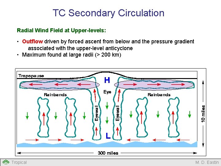 TC Secondary Circulation Radial Wind Field at Upper-levels: • Outflow driven by forced ascent