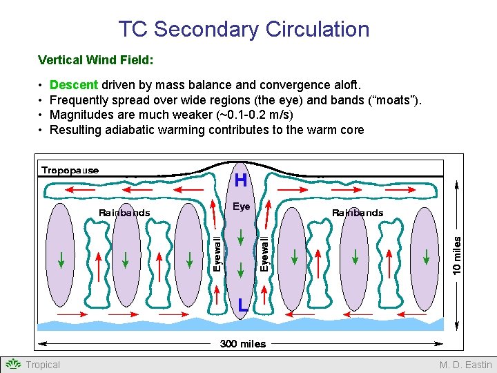 TC Secondary Circulation Vertical Wind Field: • • Descent driven by mass balance and