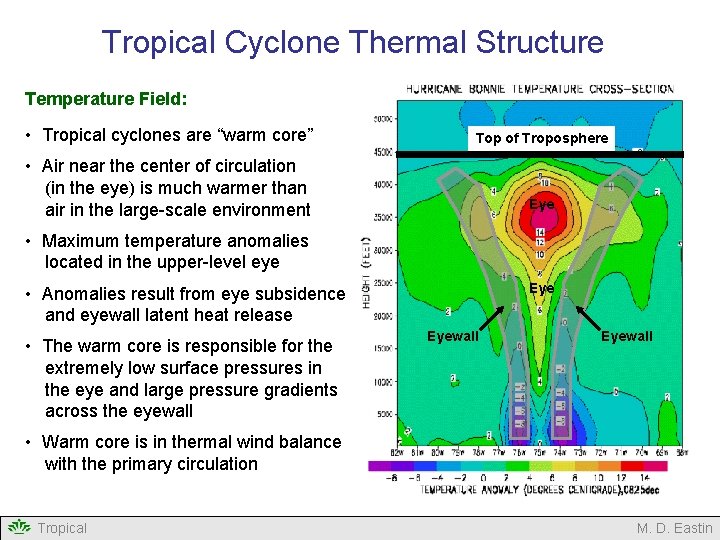Tropical Cyclone Thermal Structure Temperature Field: • Tropical cyclones are “warm core” Top of