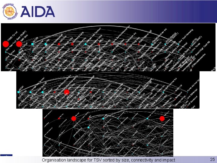 Organisation landscape for TSV sorted by size, connectivity and impact 25 
