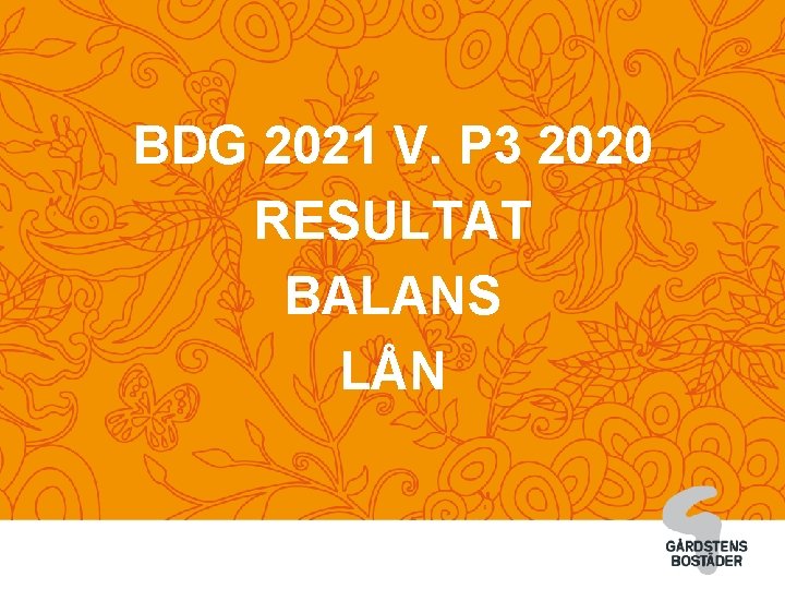 BDG 2021 V. P 3 2020 RESULTAT BALANS LÅN 