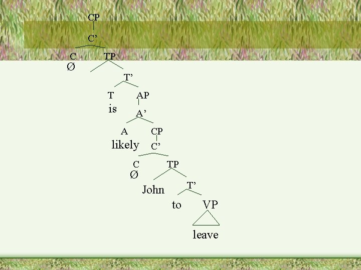 CP C’ C Ø TP T’ T AP is A’ A likely CP C’