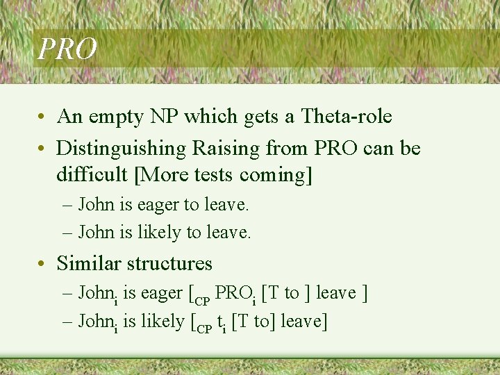 PRO • An empty NP which gets a Theta-role • Distinguishing Raising from PRO