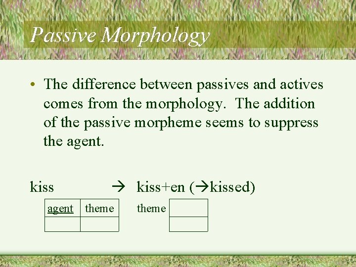 Passive Morphology • The difference between passives and actives comes from the morphology. The