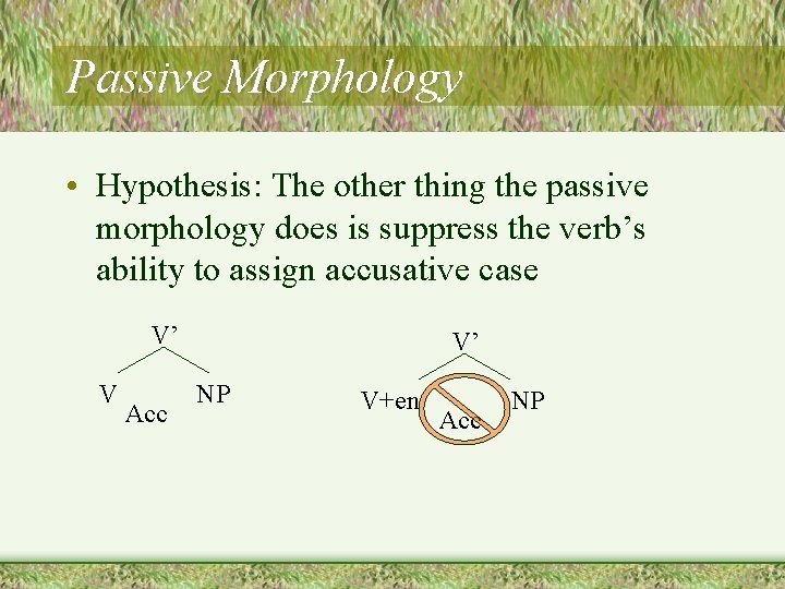 Passive Morphology • Hypothesis: The other thing the passive morphology does is suppress the