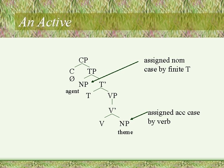 An Active CP C TP Ø NP T’ agent T VP assigned nom case