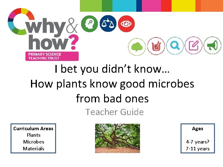I bet you didn’t know… How plants know good microbes from bad ones Teacher