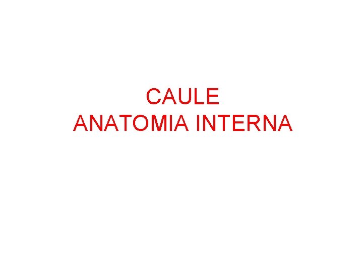 CAULE ANATOMIA INTERNA 