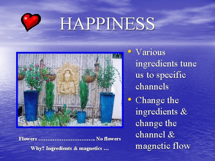 HAPPINESS • Various • Flowers ……………. . No flowers Why? Ingredients & magnetics …