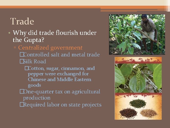 Trade • Why did trade flourish under the Gupta? ▫ Centralized government �Controlled salt