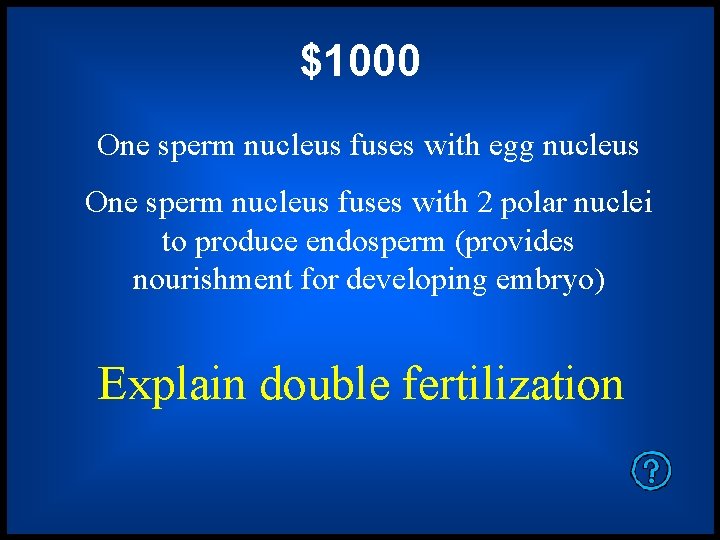 $1000 One sperm nucleus fuses with egg nucleus One sperm nucleus fuses with 2