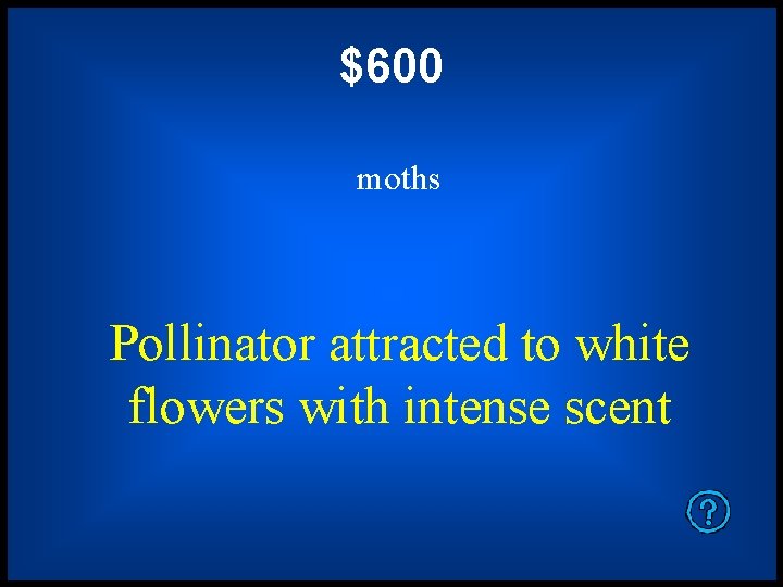 $600 moths Pollinator attracted to white flowers with intense scent 